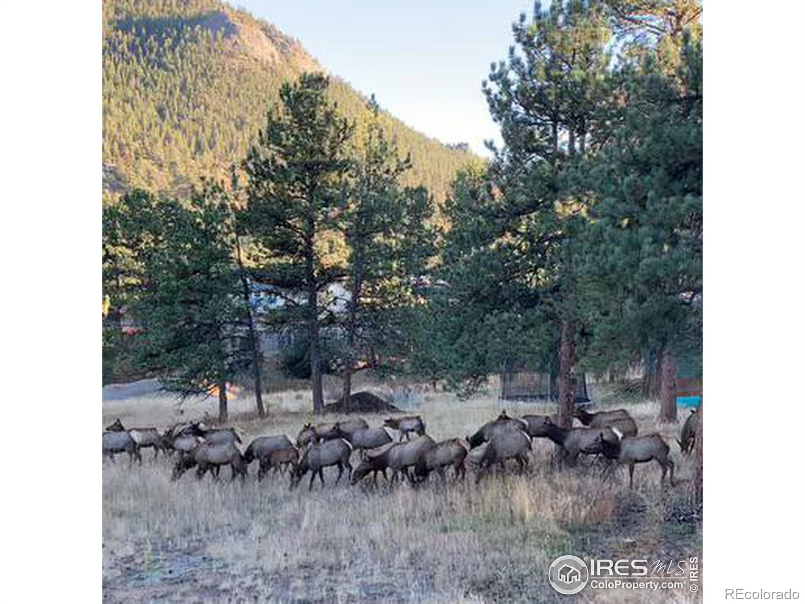 MLS Image #32 for 1230  country club drive,estes park, Colorado