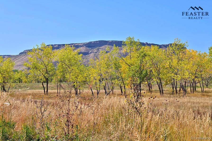 MLS Image #42 for 6491  mcintyre court,arvada, Colorado