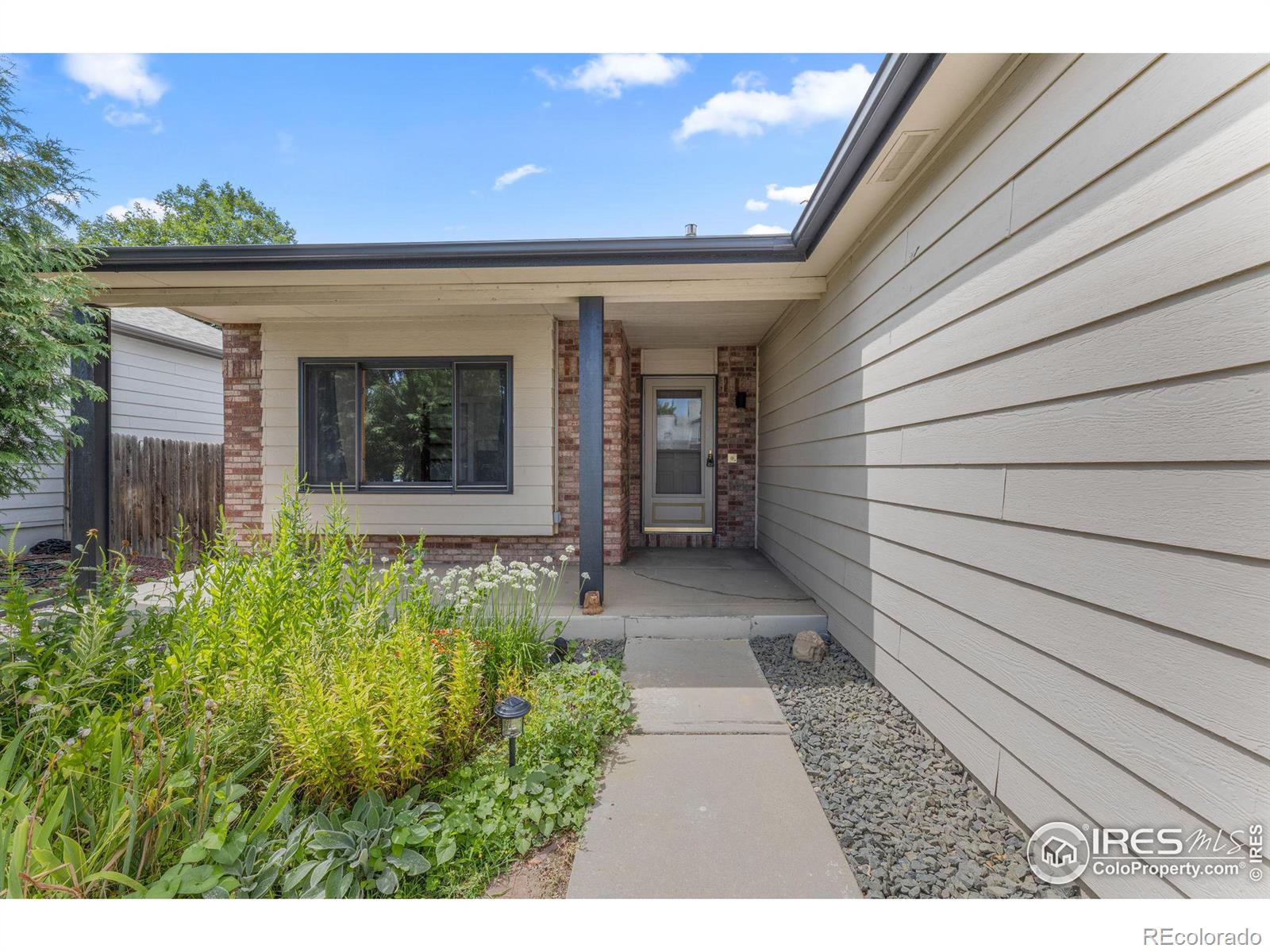 MLS Image #4 for 1723  sumac street,longmont, Colorado