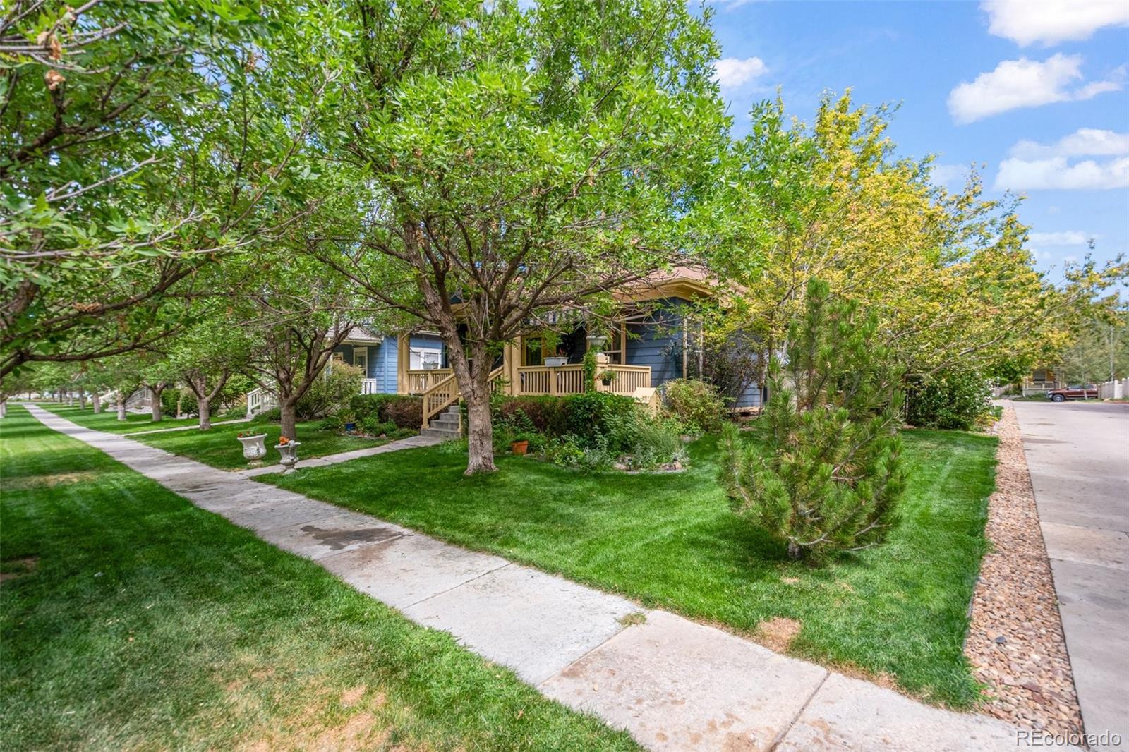 MLS Image #2 for 9279  longs peak drive,commerce city, Colorado