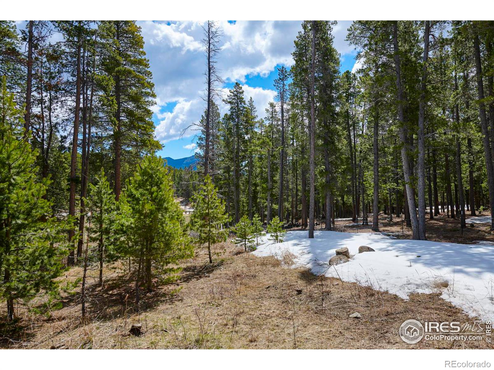 MLS Image #25 for 17681  highway 119 ,black hawk, Colorado