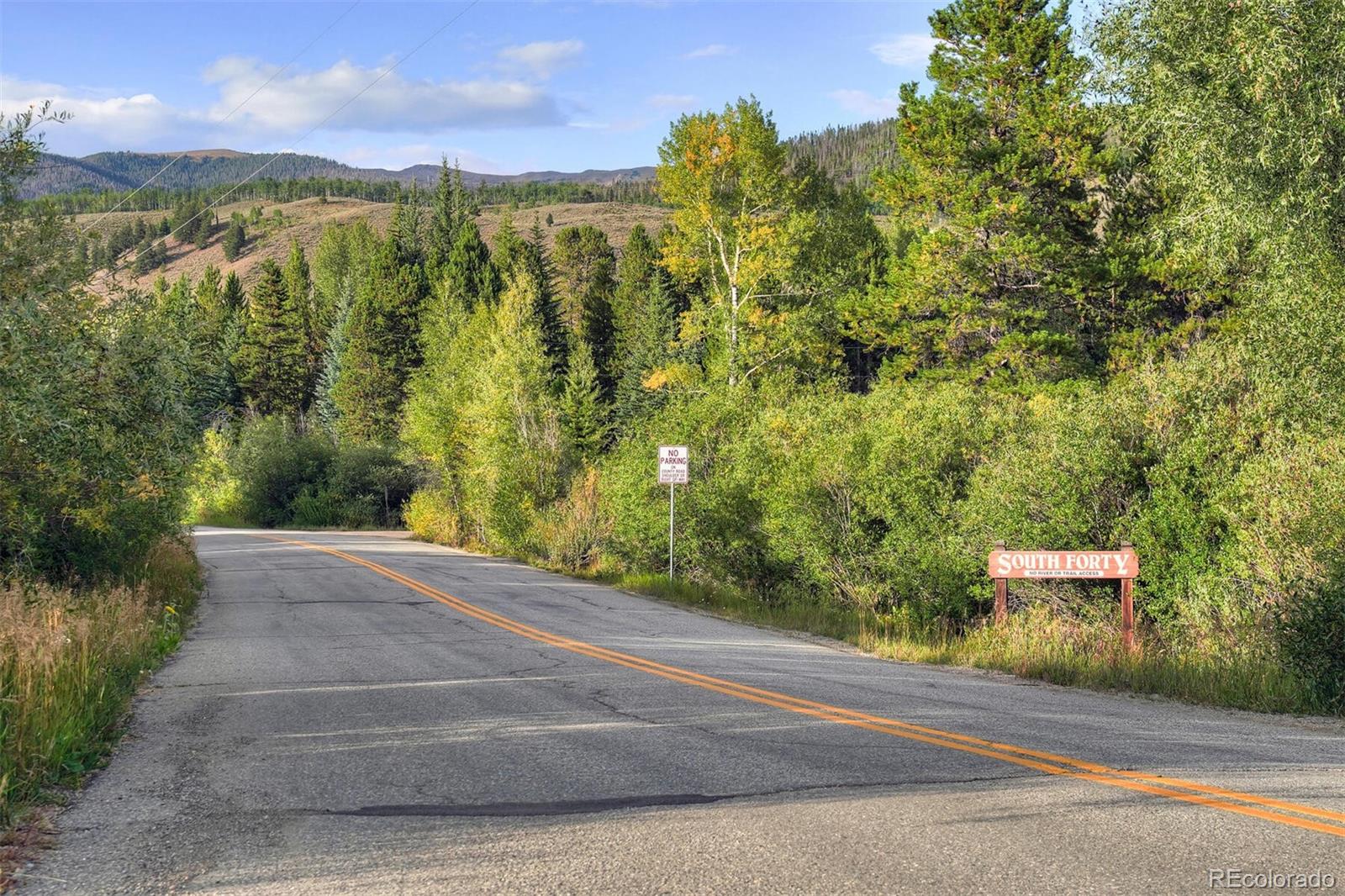 MLS Image #4 for 237 s hillside drive,silverthorne, Colorado