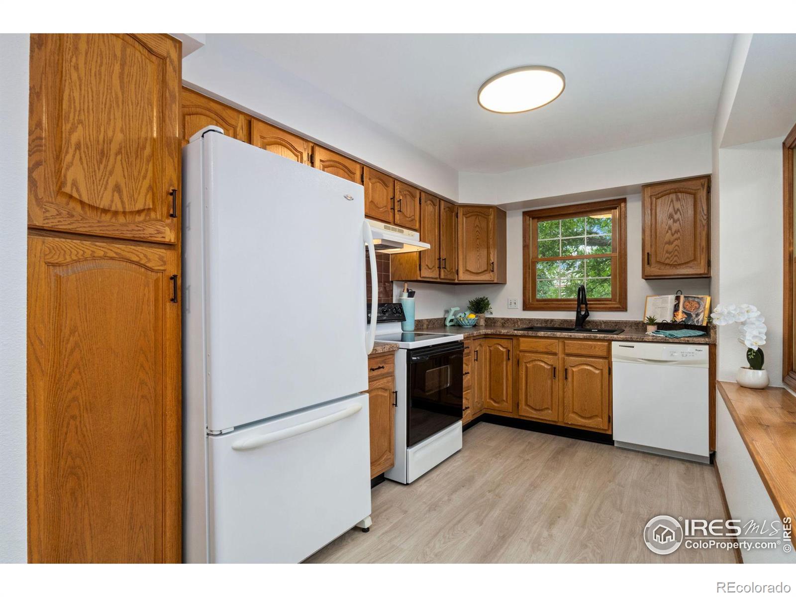 MLS Image #2 for 2522  elmhurst place,longmont, Colorado