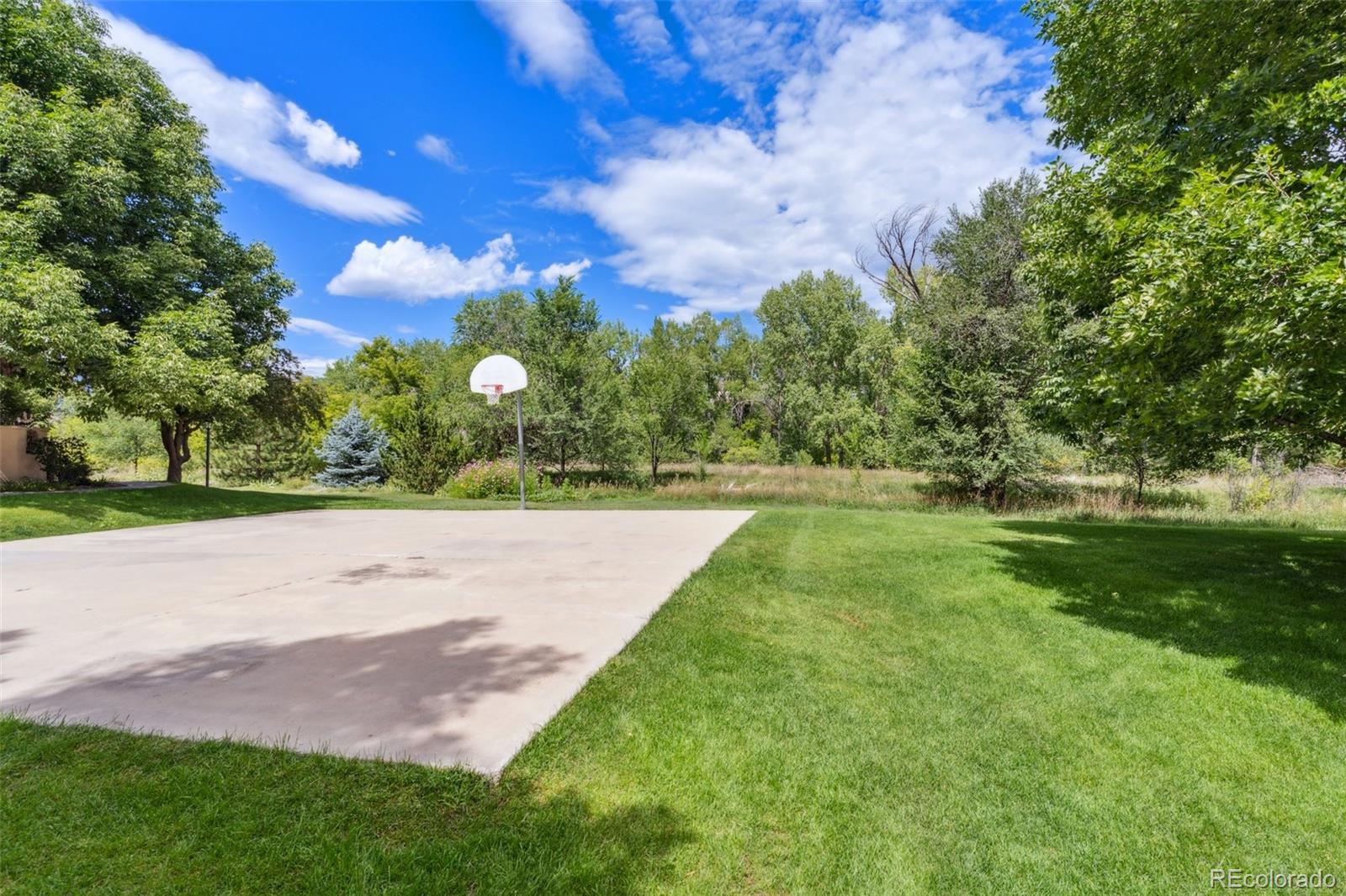 MLS Image #21 for 1534  courtyard heights,colorado springs, Colorado