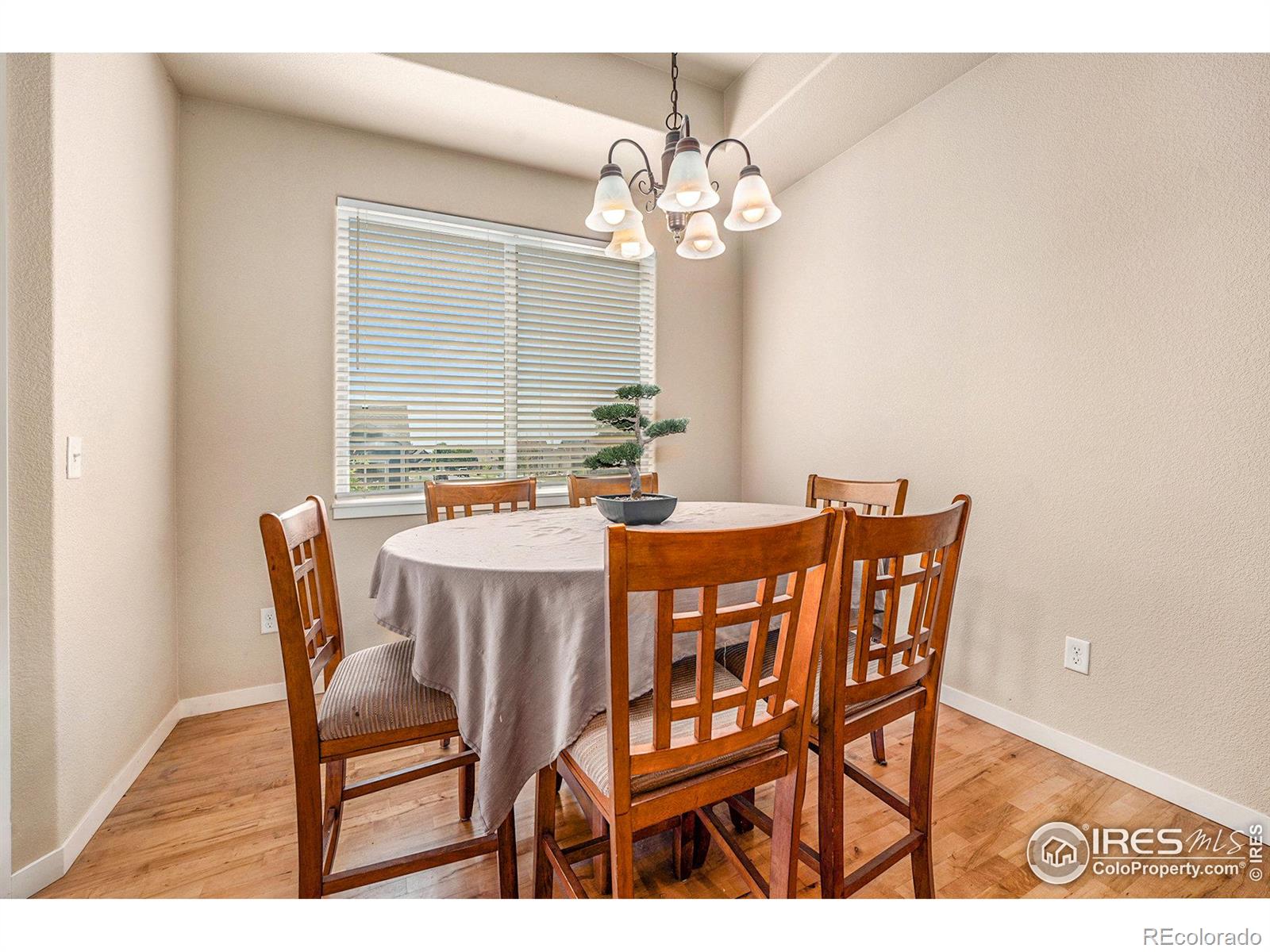 MLS Image #5 for 4510  dante street,evans, Colorado