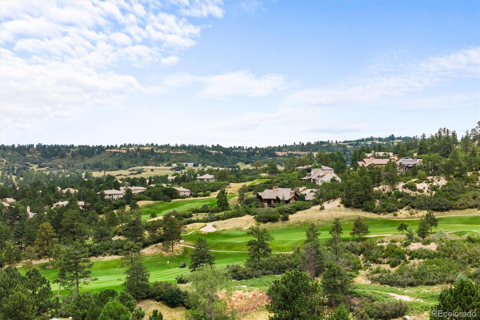 MLS Image #18 for 2918  cliffside court,castle rock, Colorado