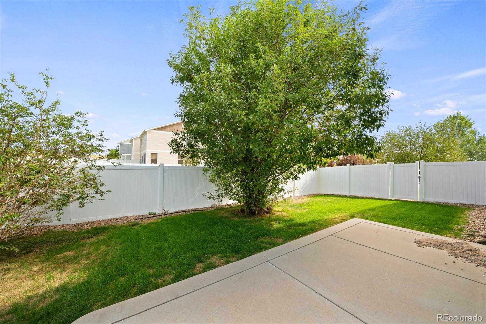 MLS Image #17 for 5559  killarney street,denver, Colorado