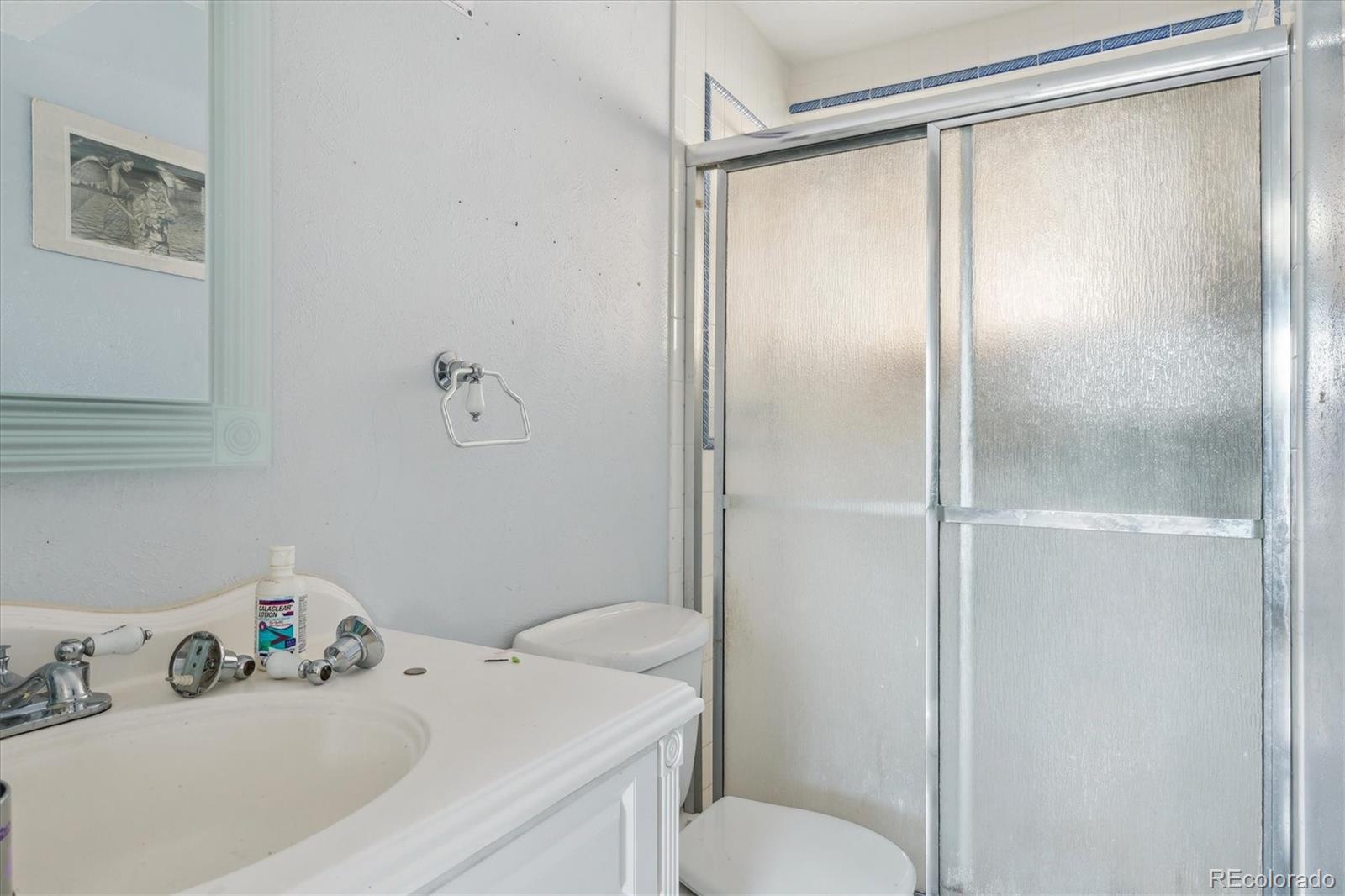 MLS Image #10 for 219  douglas fir avenue,castle rock, Colorado
