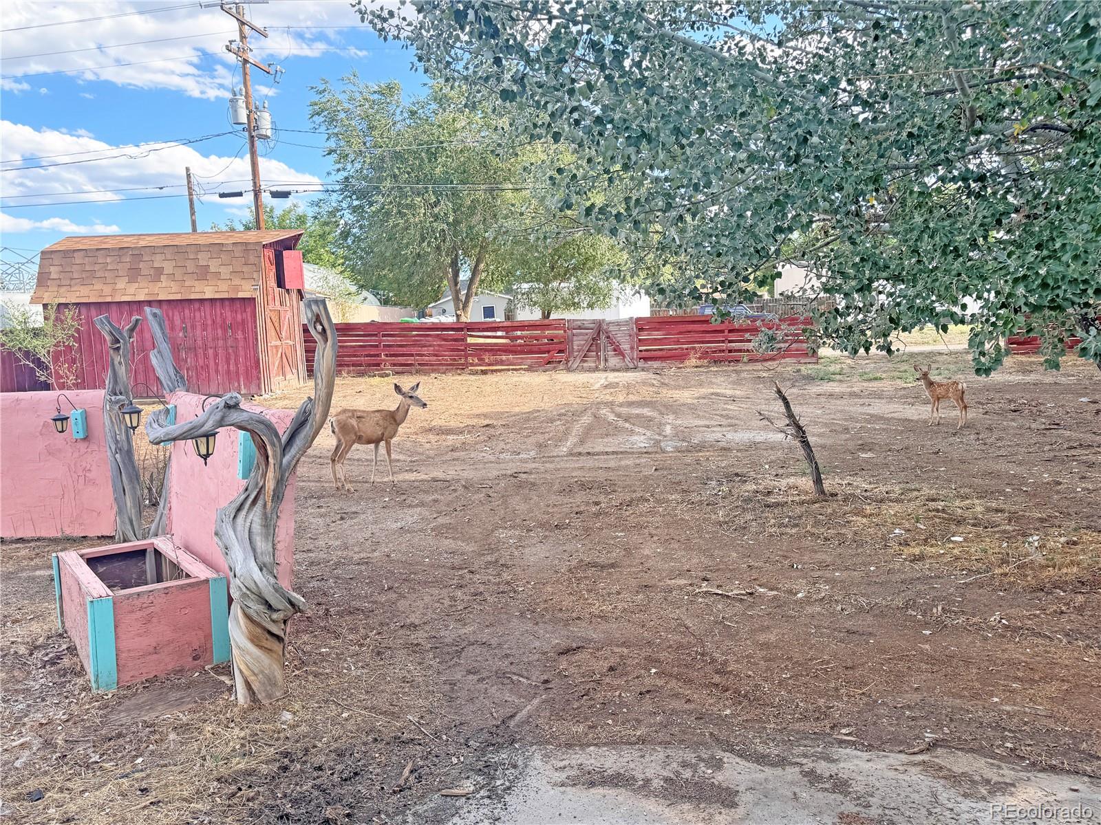 MLS Image #13 for 115 w rio blanco avenue,rangely, Colorado