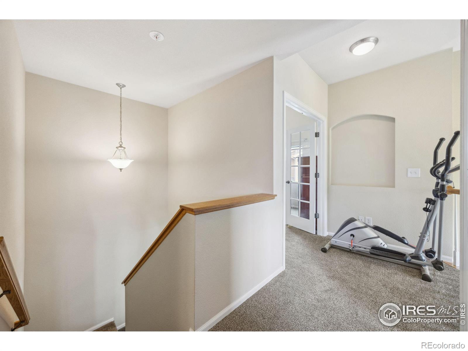 MLS Image #21 for 230  carina circle,loveland, Colorado