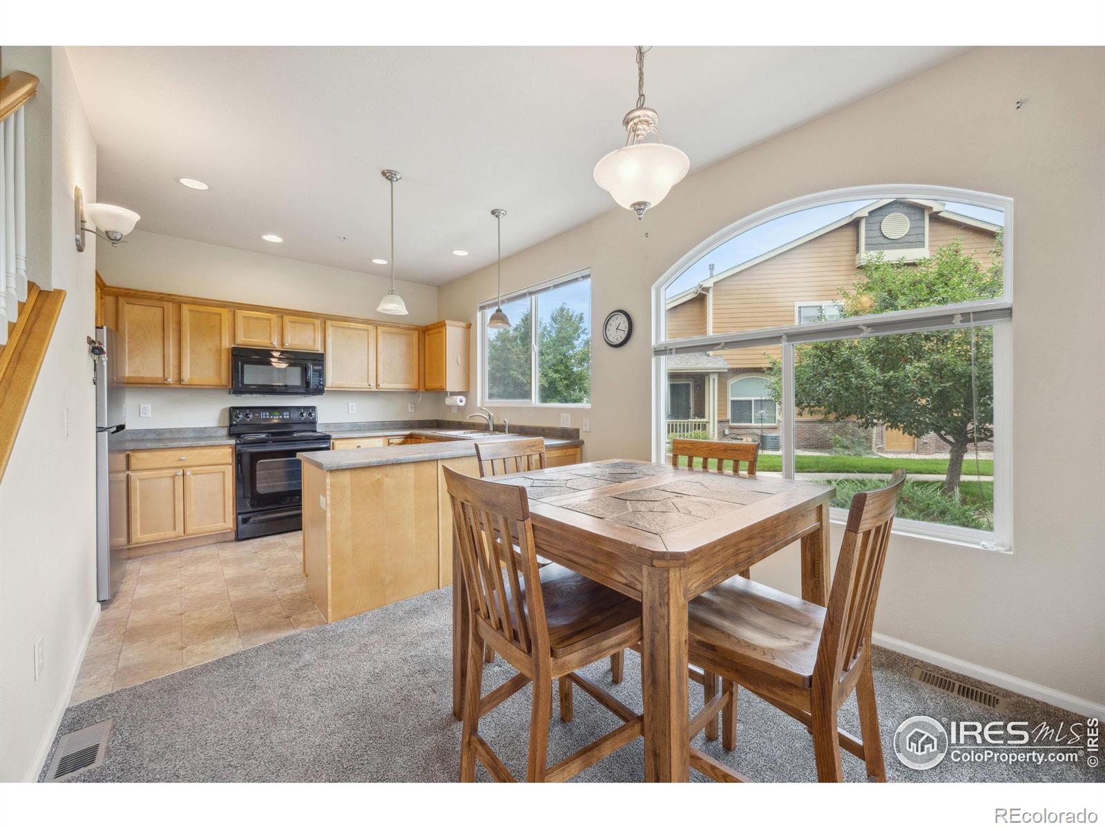 MLS Image #8 for 230  carina circle,loveland, Colorado