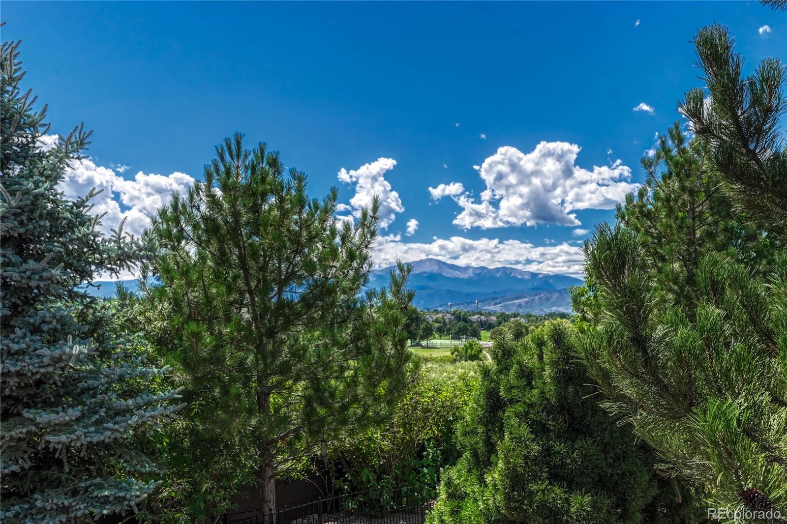 MLS Image #11 for 4263  ginger cove place,colorado springs, Colorado