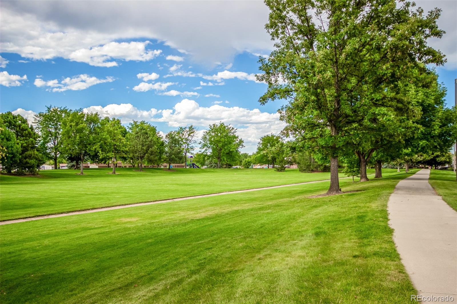 MLS Image #38 for 805  heather drive,loveland, Colorado