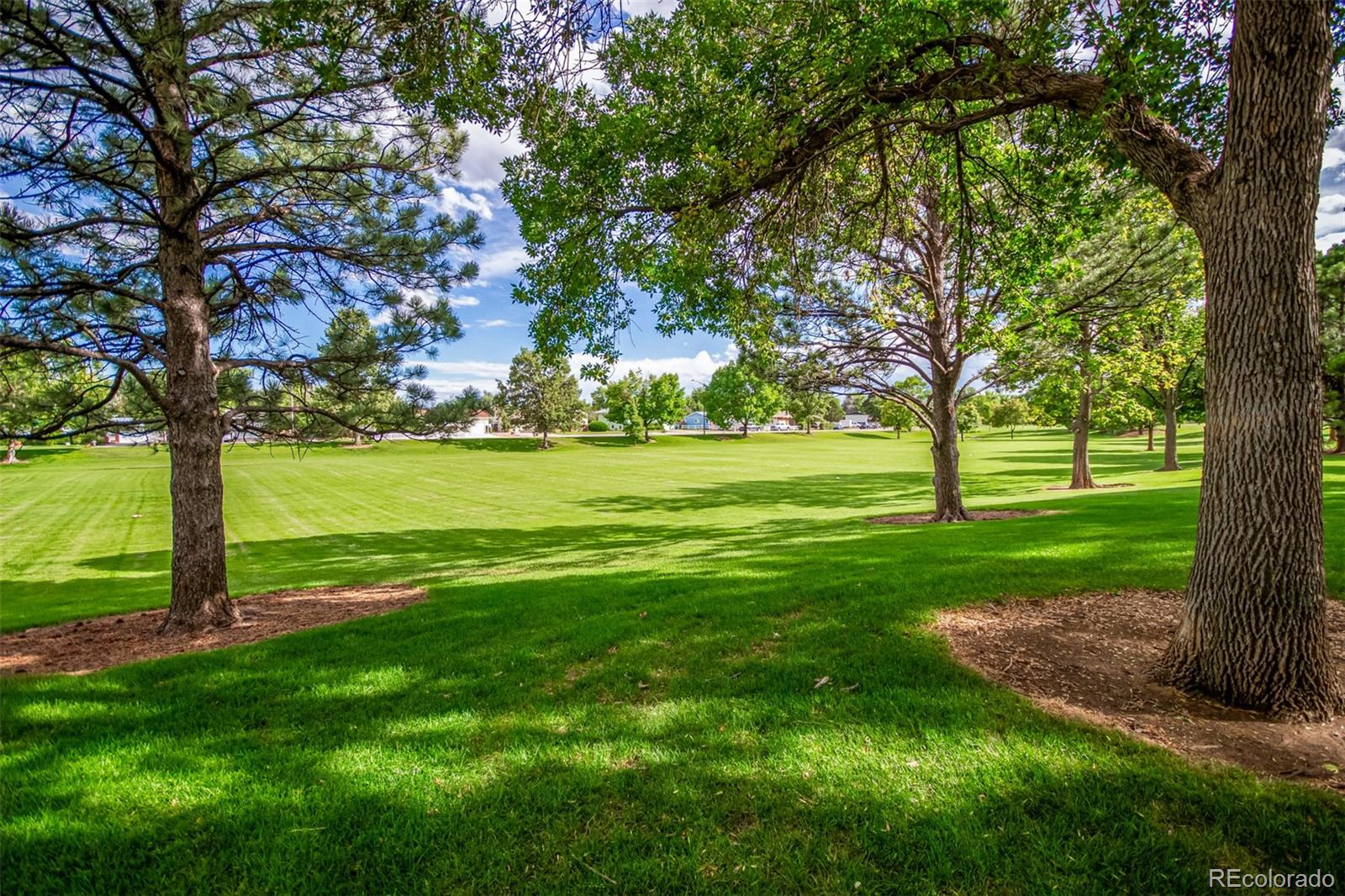 MLS Image #41 for 805  heather drive,loveland, Colorado