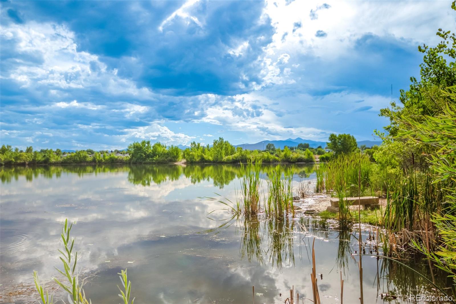 MLS Image #44 for 805  heather drive,loveland, Colorado