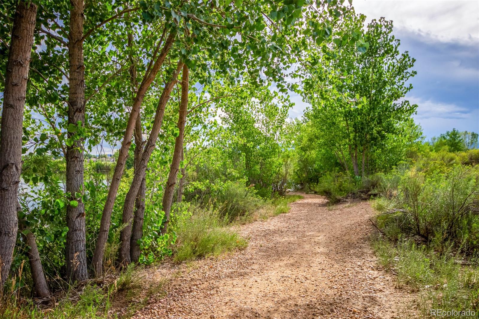 MLS Image #46 for 805  heather drive,loveland, Colorado