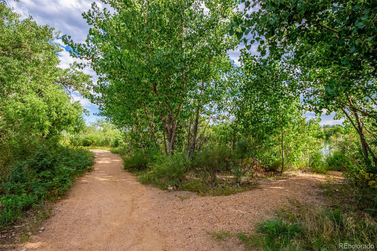 MLS Image #47 for 805  heather drive,loveland, Colorado