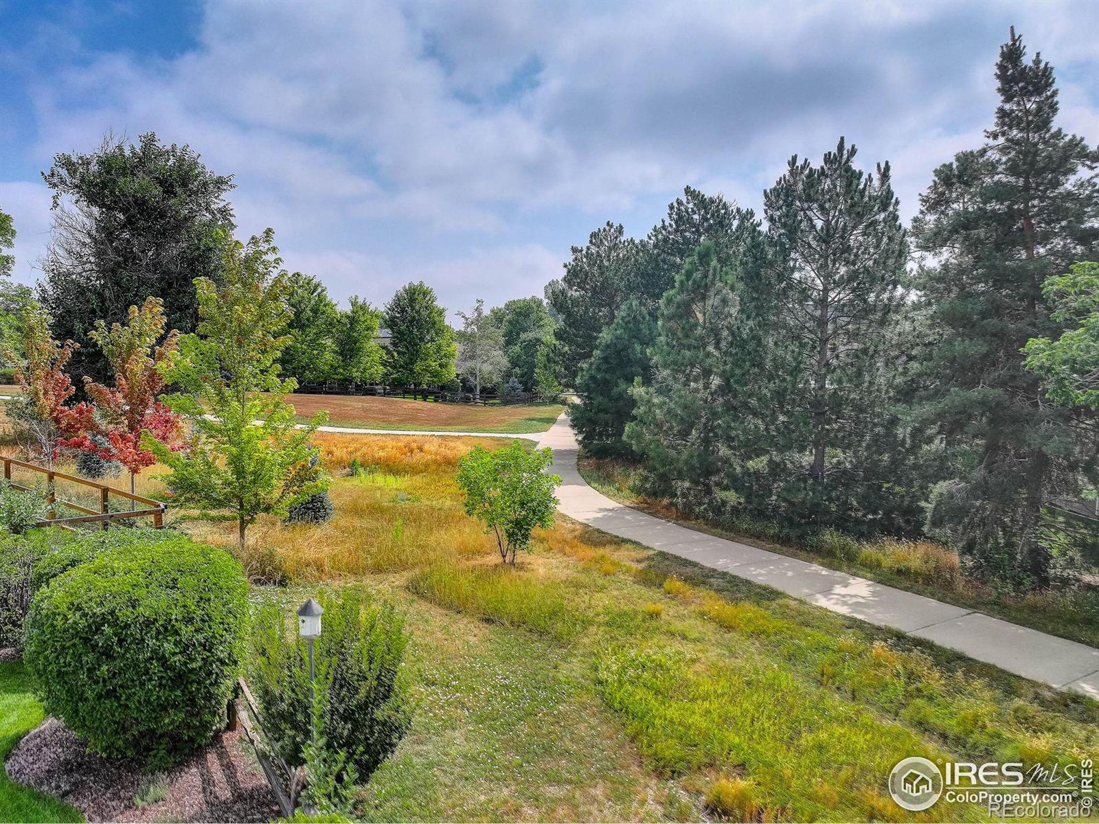 MLS Image #10 for 802  cleveland court,louisville, Colorado