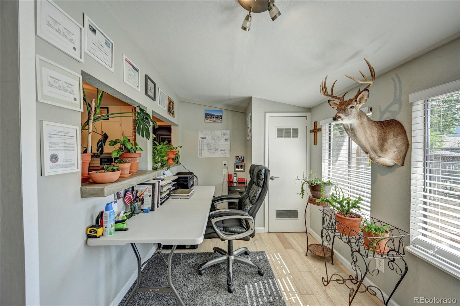 MLS Image #21 for 114  harvard lane,buena vista, Colorado