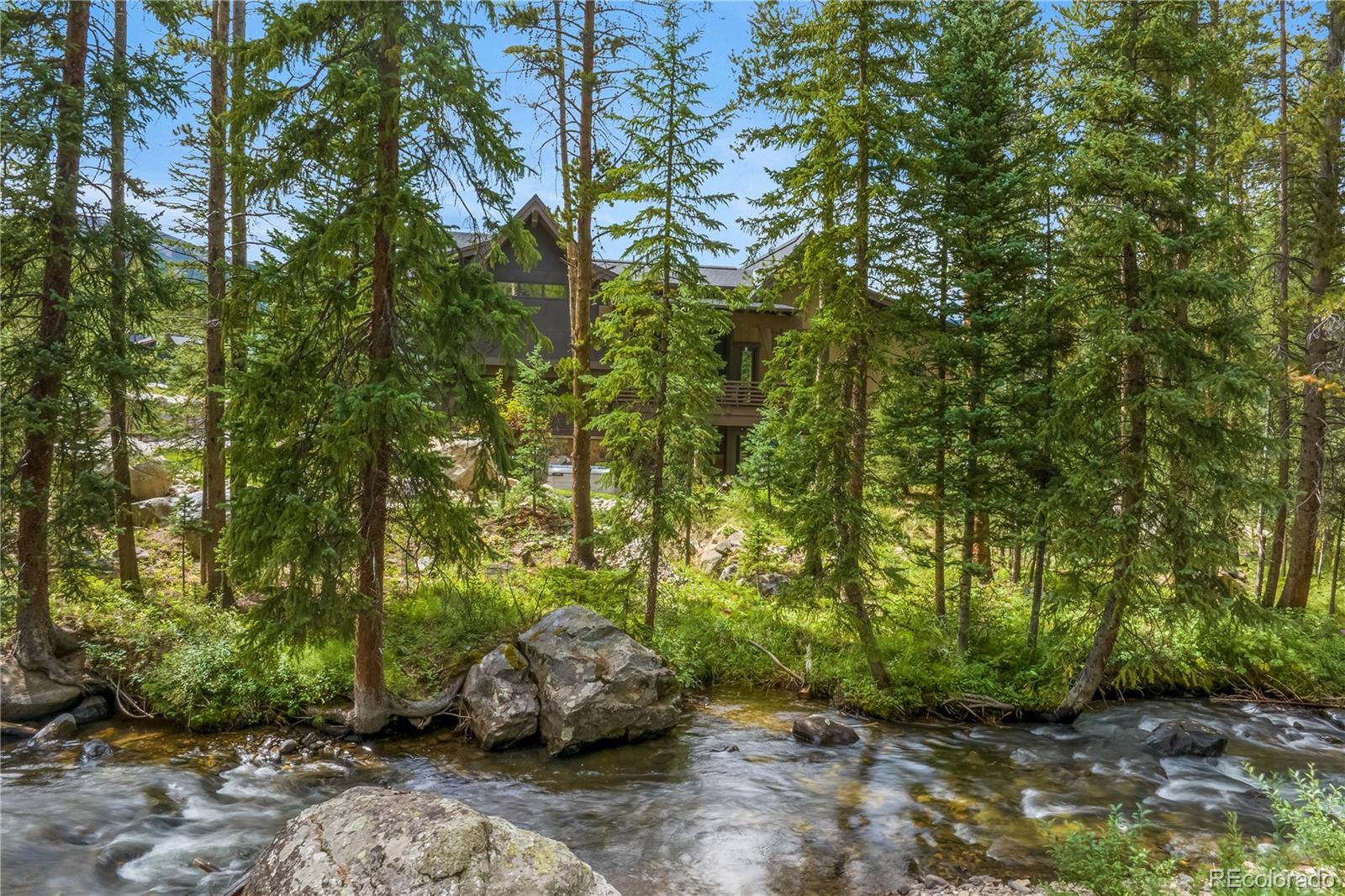 MLS Image #11 for 380  river park drive,breckenridge, Colorado