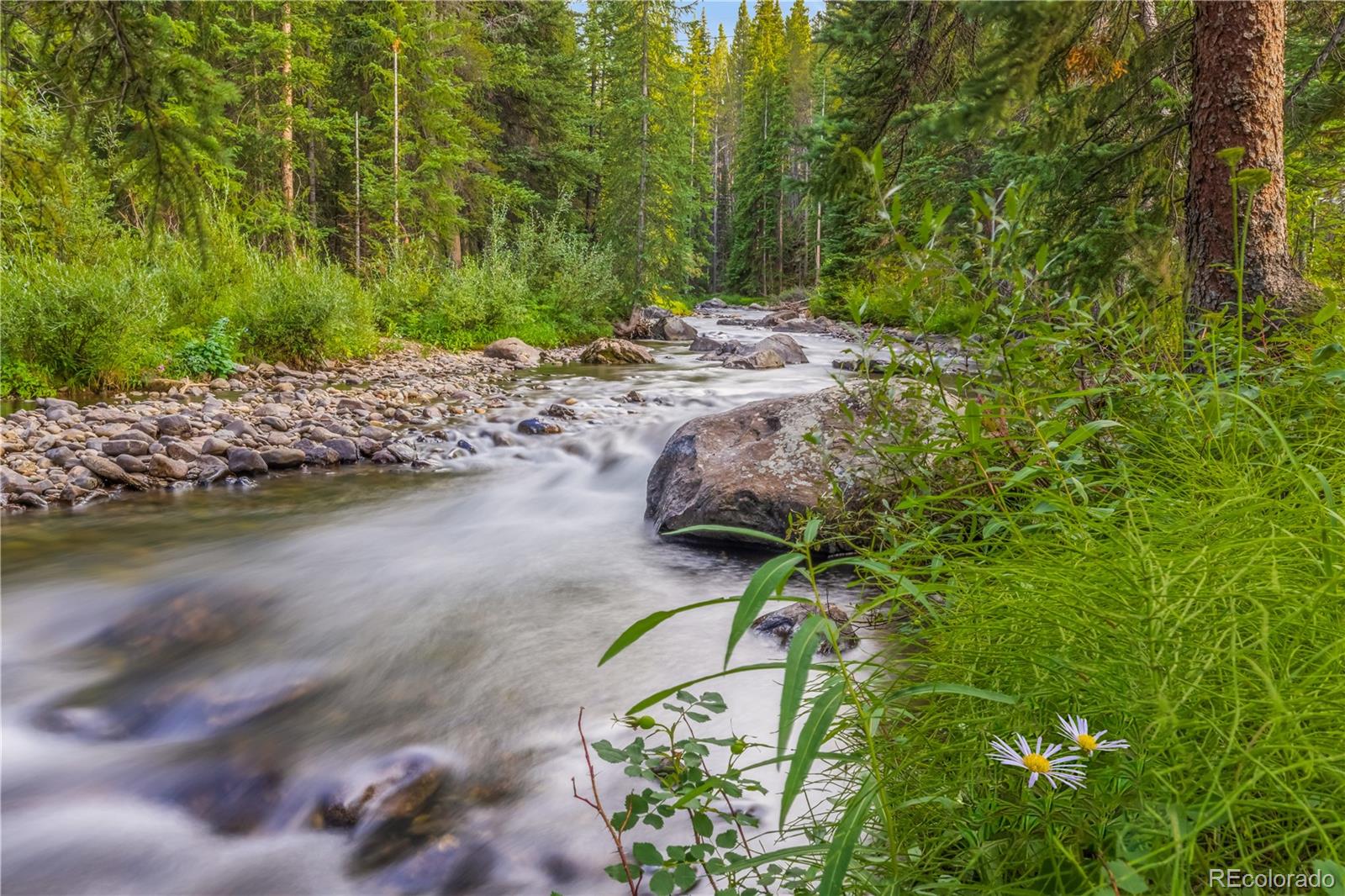 MLS Image #32 for 380  river park drive,breckenridge, Colorado