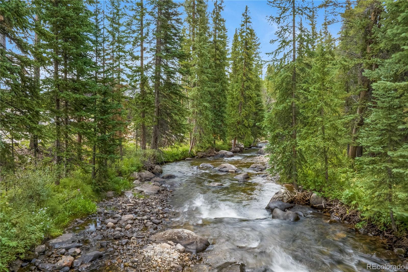 MLS Image #39 for 380  river park drive,breckenridge, Colorado