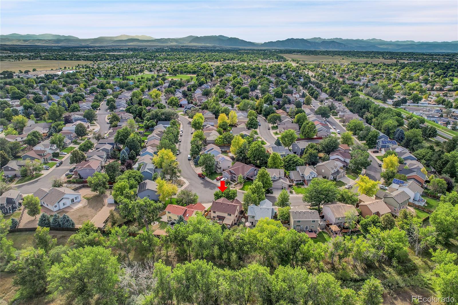 MLS Image #49 for 2619  fernwood place,broomfield, Colorado