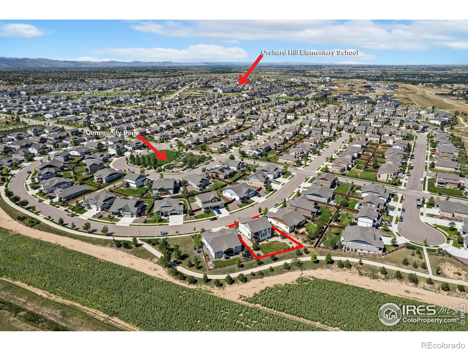 MLS Image #34 for 2181  crop row drive,windsor, Colorado