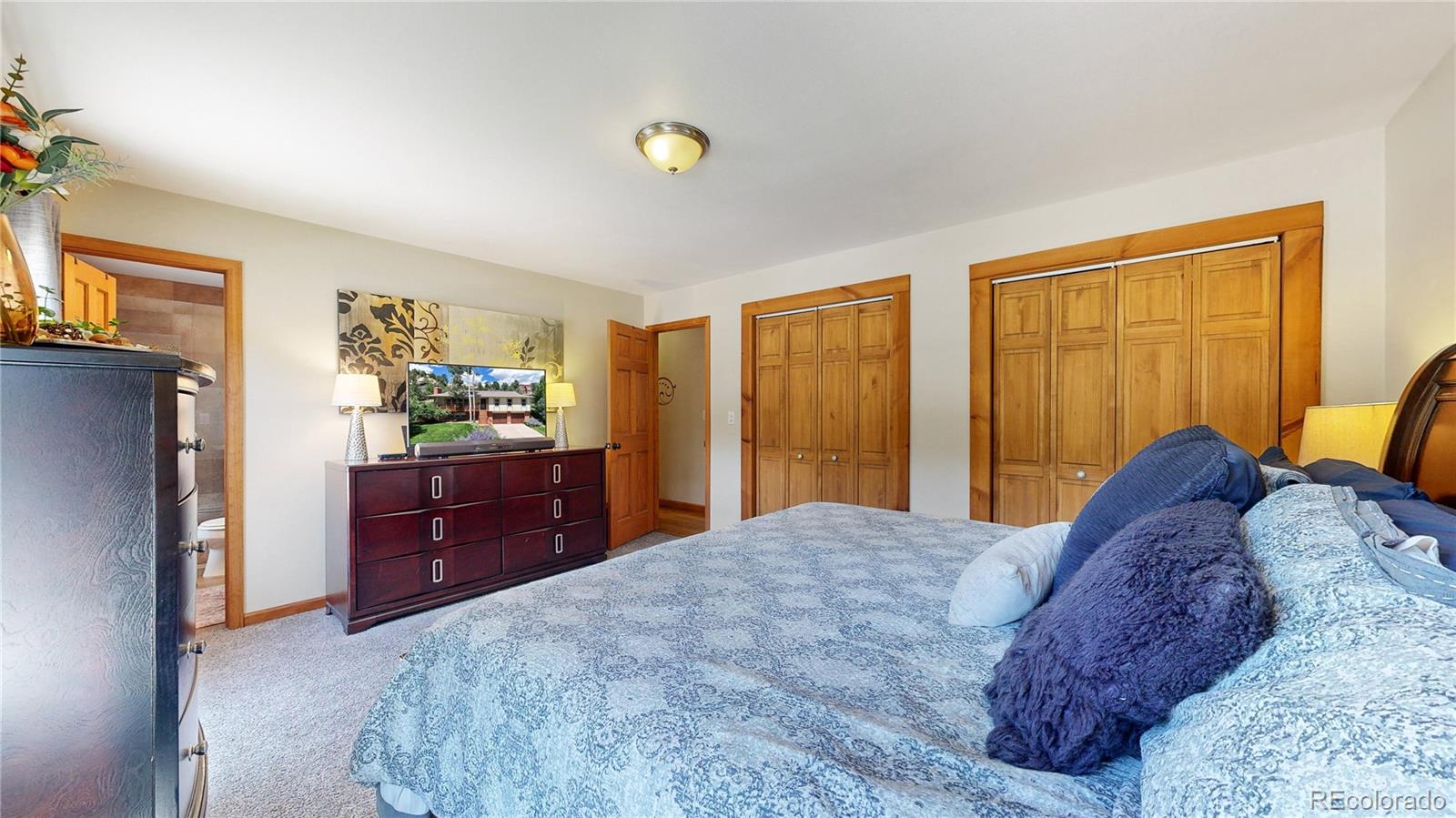 MLS Image #22 for 840  big valley drive,colorado springs, Colorado