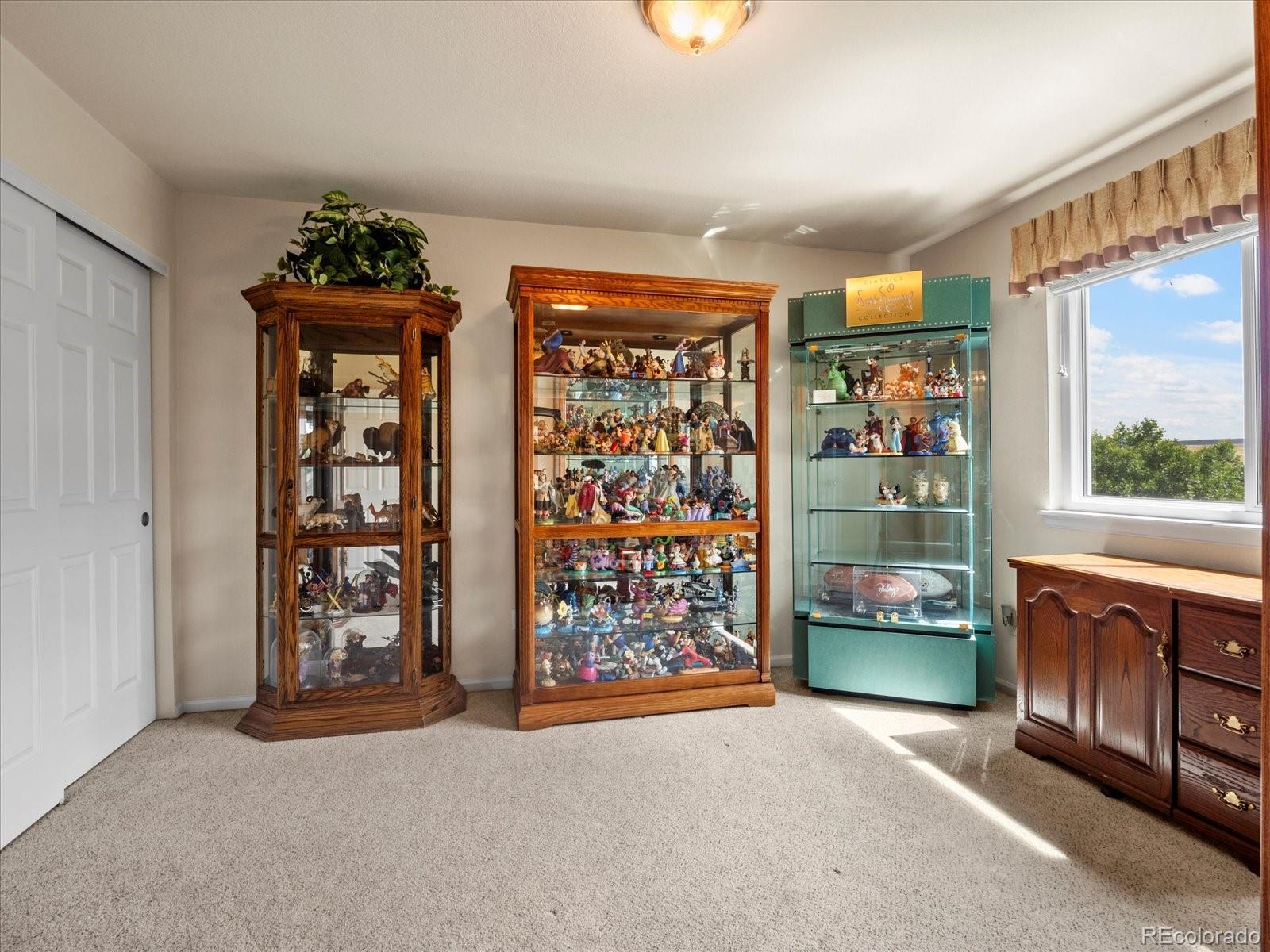 MLS Image #37 for 6890  blue mesa ,littleton, Colorado