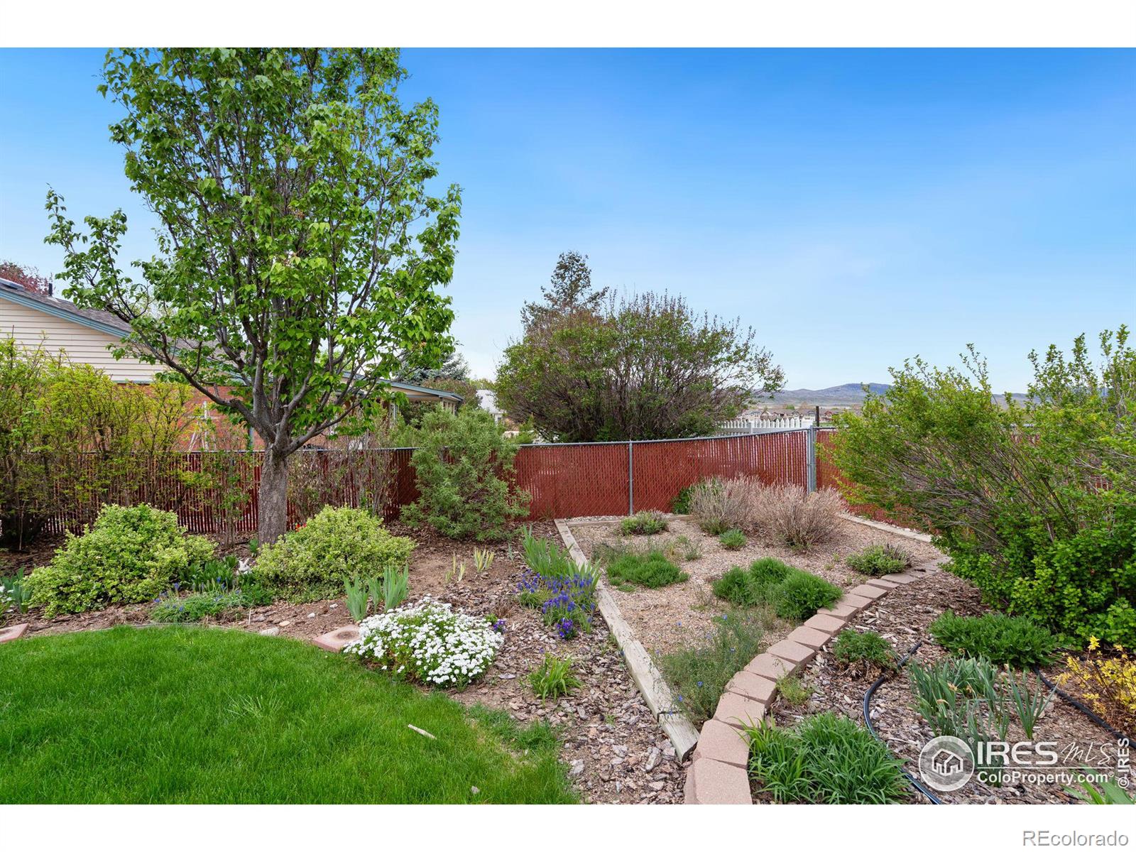 MLS Image #37 for 4963  filbert drive,loveland, Colorado