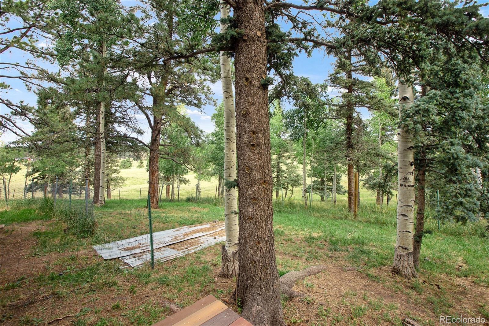 MLS Image #24 for 269  elfin glen drive,divide, Colorado