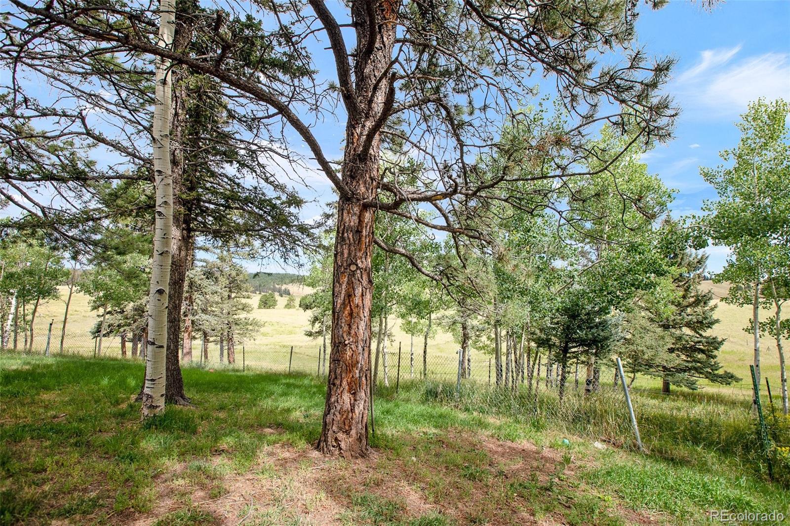 MLS Image #26 for 269  elfin glen drive,divide, Colorado