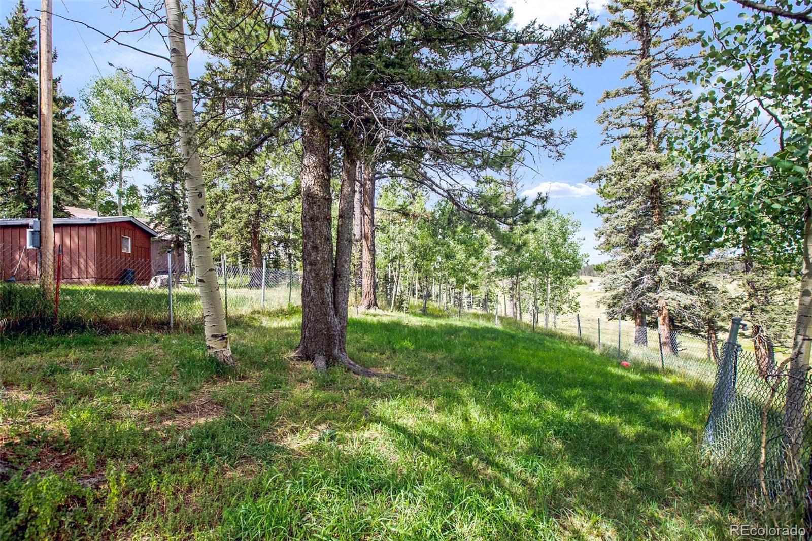 MLS Image #28 for 269  elfin glen drive,divide, Colorado