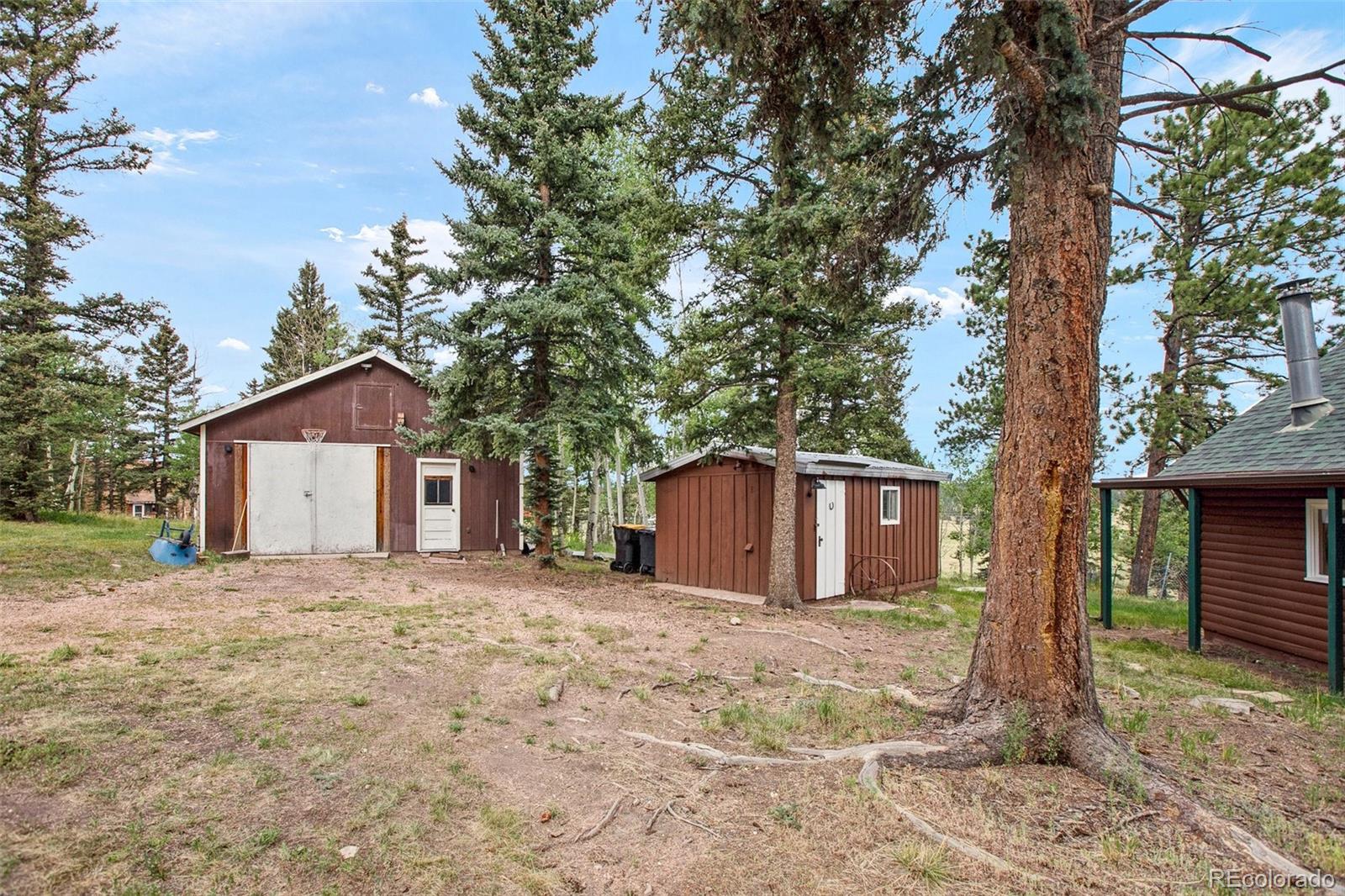 MLS Image #29 for 269  elfin glen drive,divide, Colorado