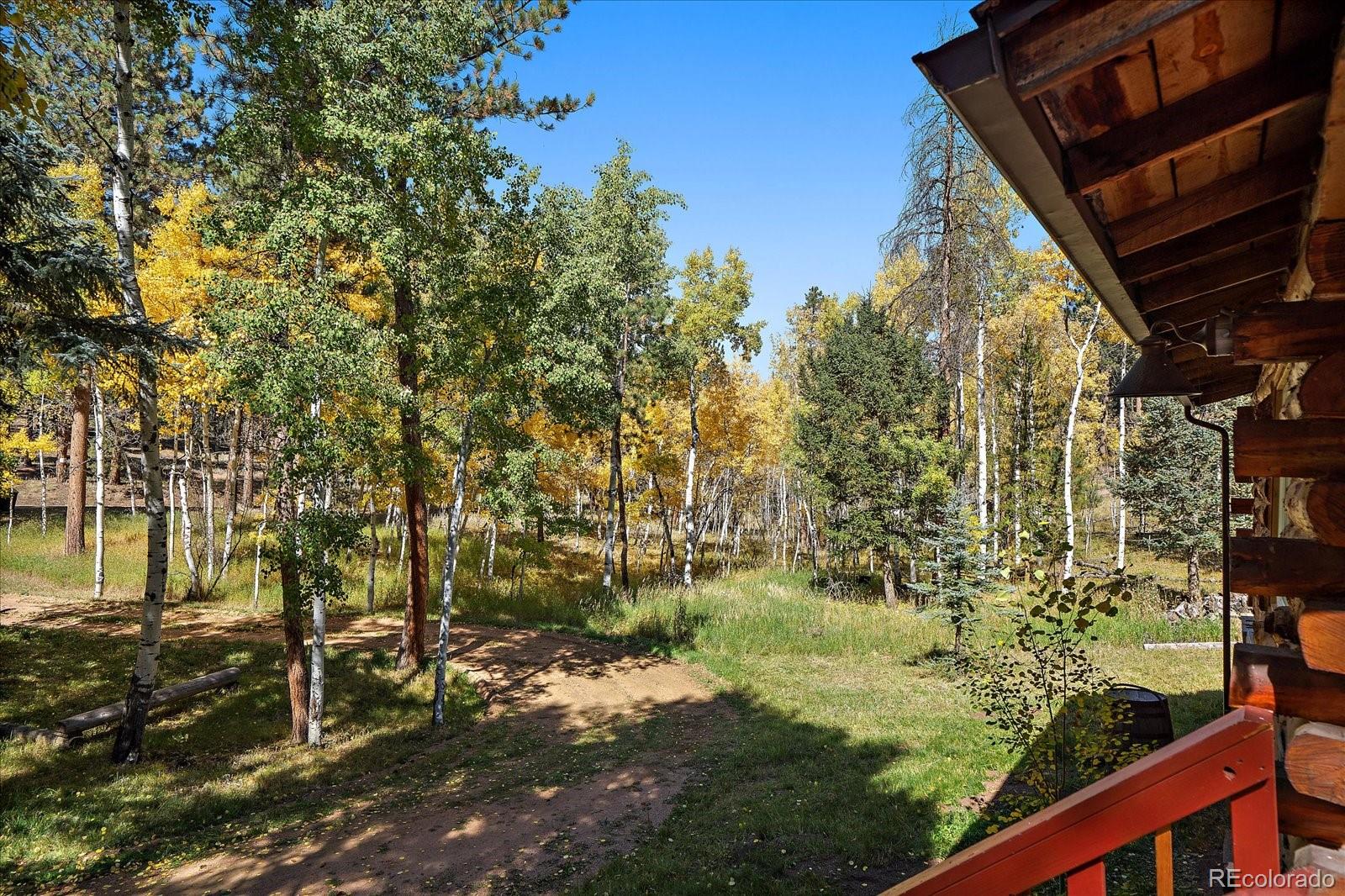 MLS Image #2 for 368  county road 114 ,bailey, Colorado