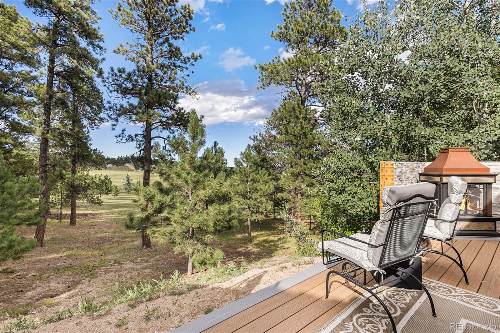 MLS Image #21 for 14960  tanner trail,elbert, Colorado