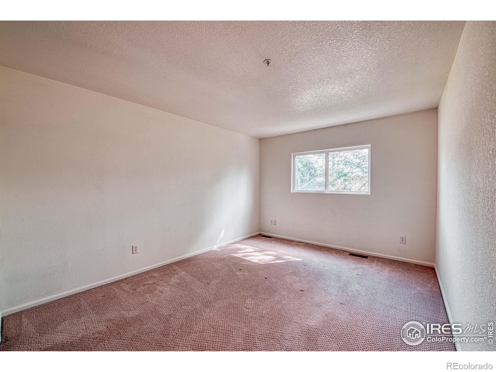 MLS Image #9 for 1601  great western drive,longmont, Colorado