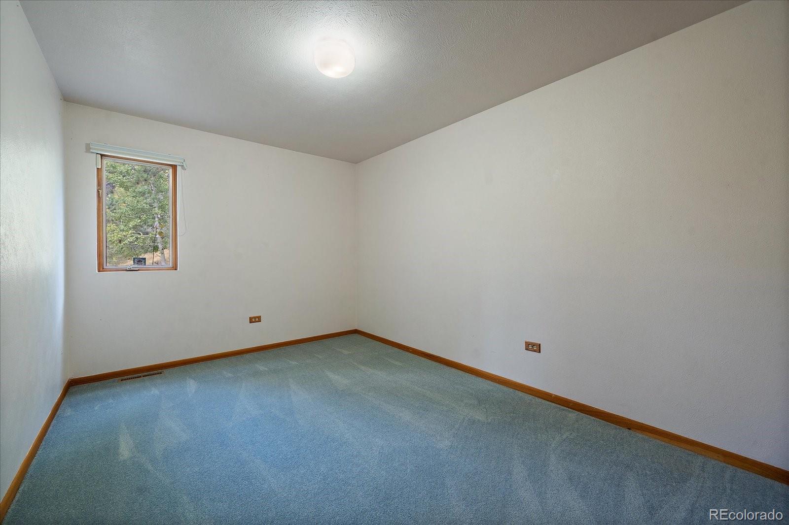 MLS Image #26 for 25100  pleasant park road,conifer, Colorado