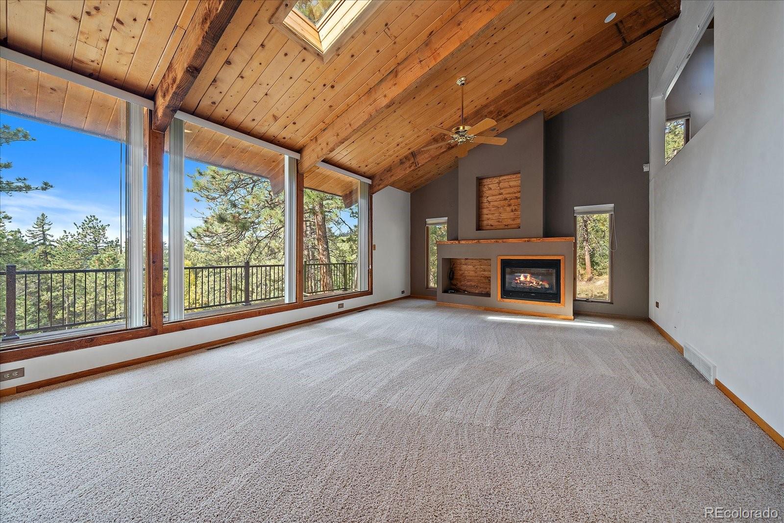 MLS Image #3 for 25100  pleasant park road,conifer, Colorado