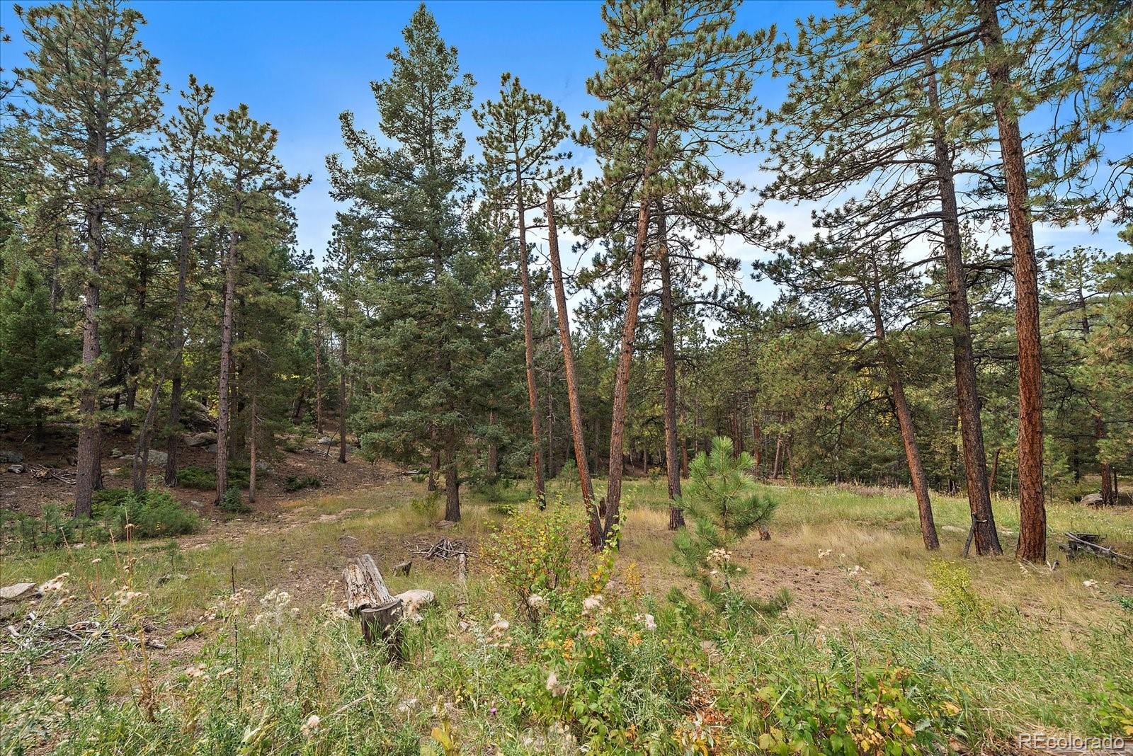 MLS Image #31 for 25100  pleasant park road,conifer, Colorado