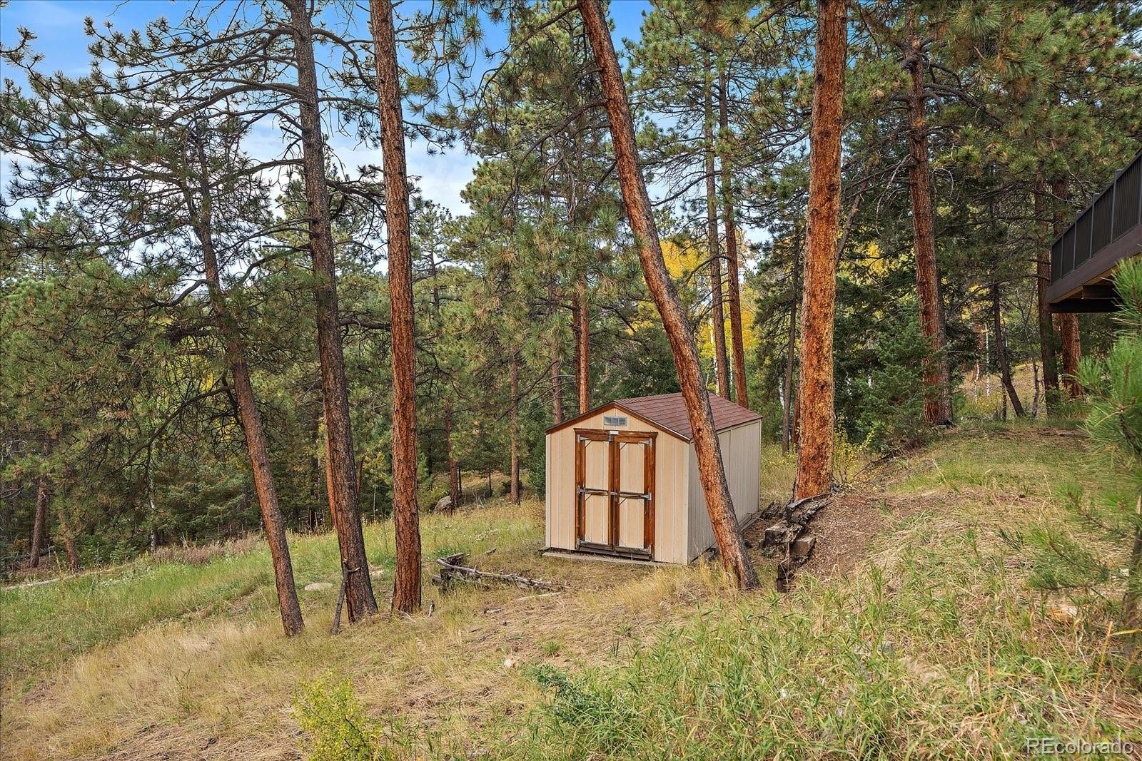 MLS Image #33 for 25100  pleasant park road,conifer, Colorado