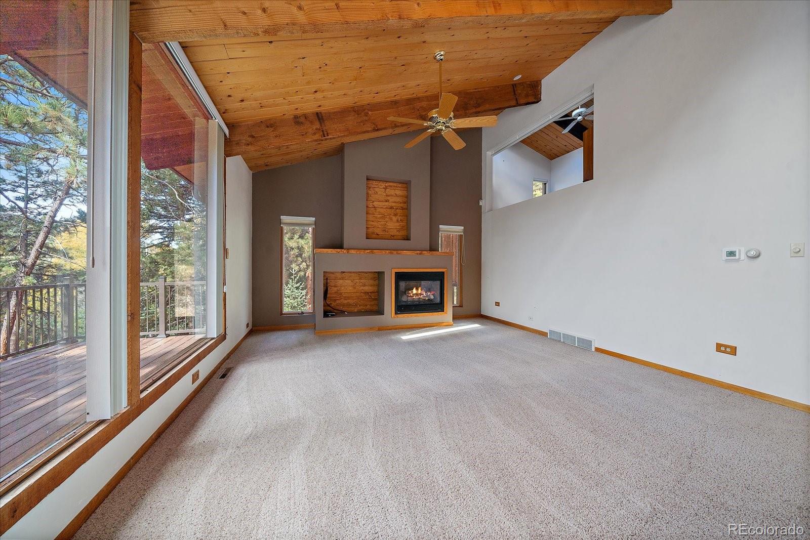 MLS Image #4 for 25100  pleasant park road,conifer, Colorado