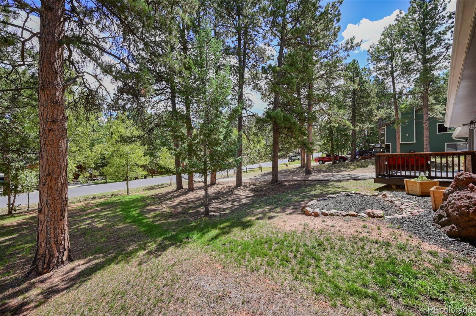 MLS Image #4 for 416 n coraline street,woodland park, Colorado