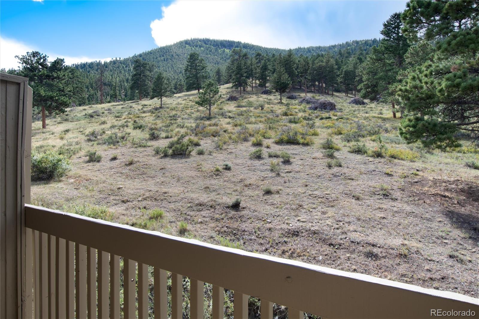 MLS Image #17 for 1070  crestview court,estes park, Colorado