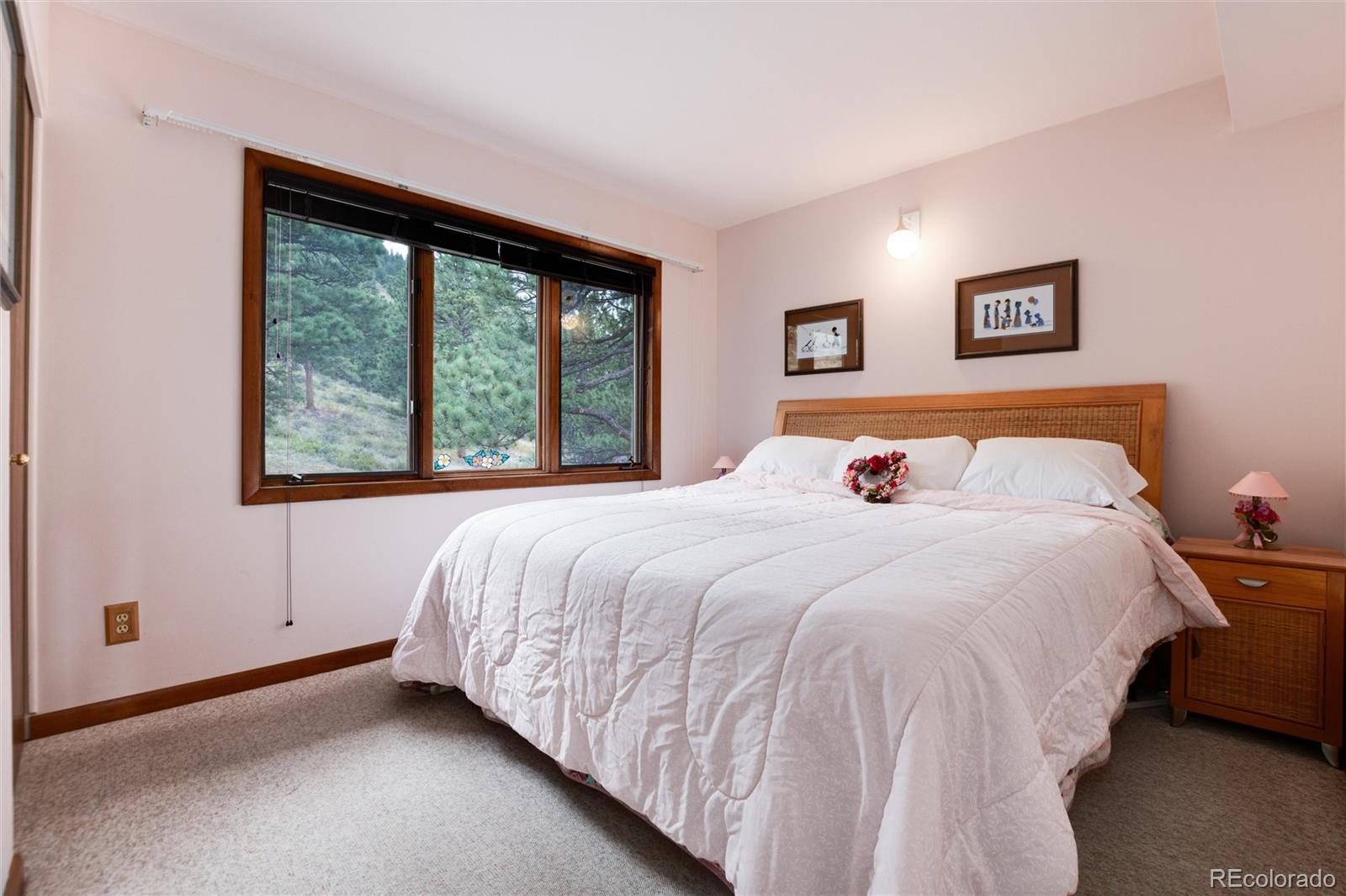 MLS Image #19 for 1070  crestview court,estes park, Colorado