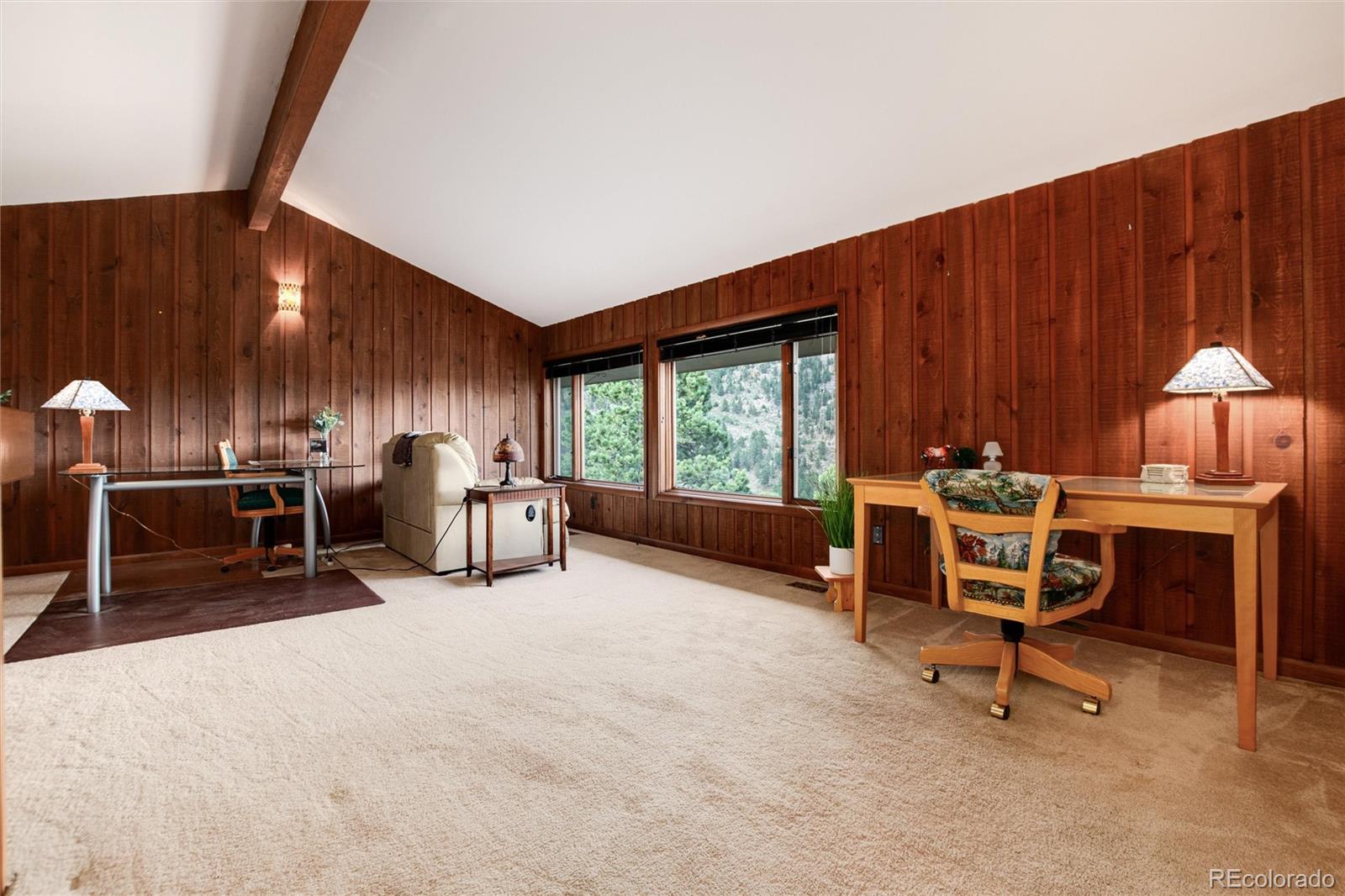 MLS Image #22 for 1070  crestview court,estes park, Colorado