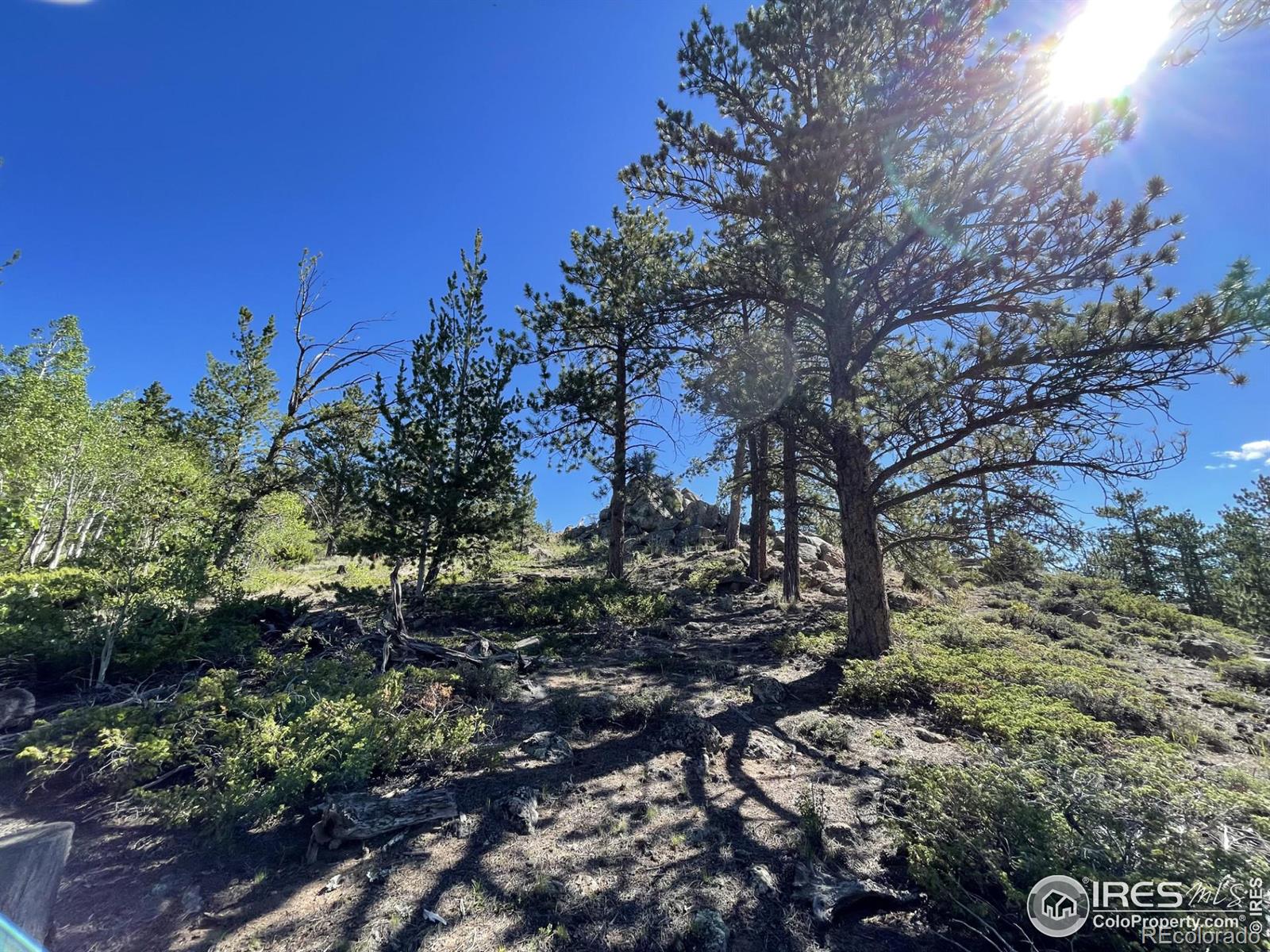 MLS Image #31 for 123  tahlequah way,red feather lakes, Colorado