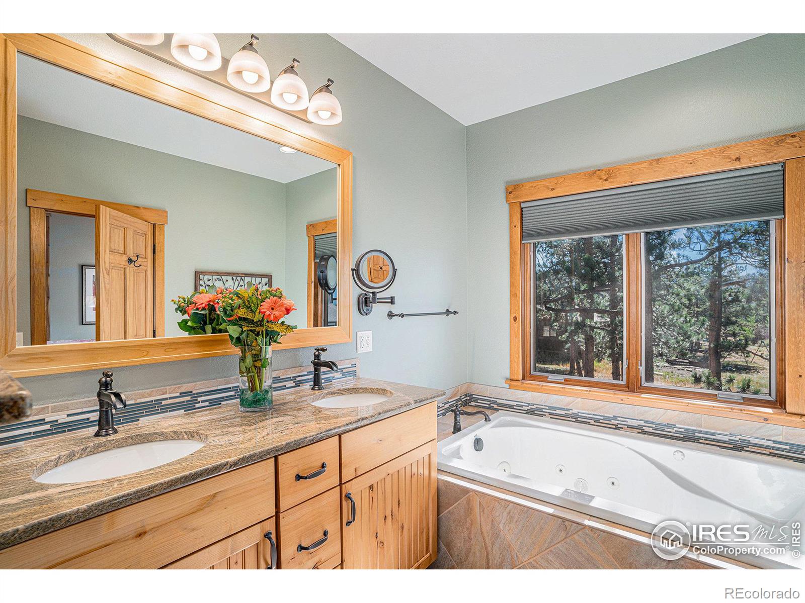 MLS Image #22 for 450  prospector lane,estes park, Colorado