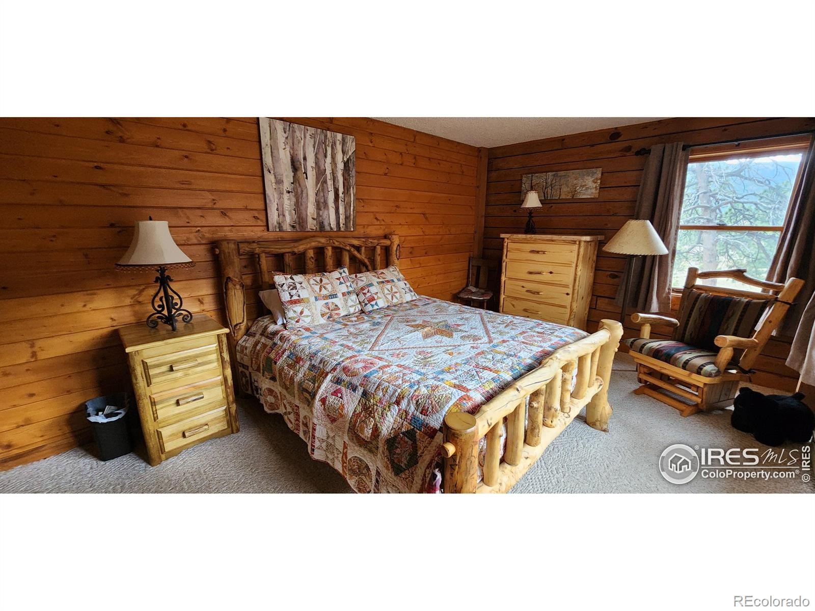 MLS Image #14 for 912  rambling drive,estes park, Colorado